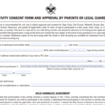 Bsa Activity Consent Form