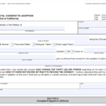 Step Parent Consent Form