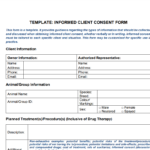 Client Consent Form