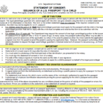 Ds 3053 Consent Form