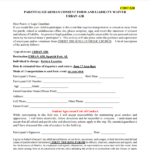 Urban Air Consent Form