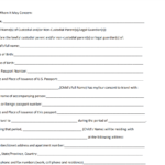 Us Minor Travel Consent Form