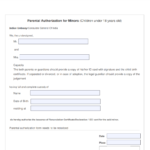 Consent Form Oci Minor